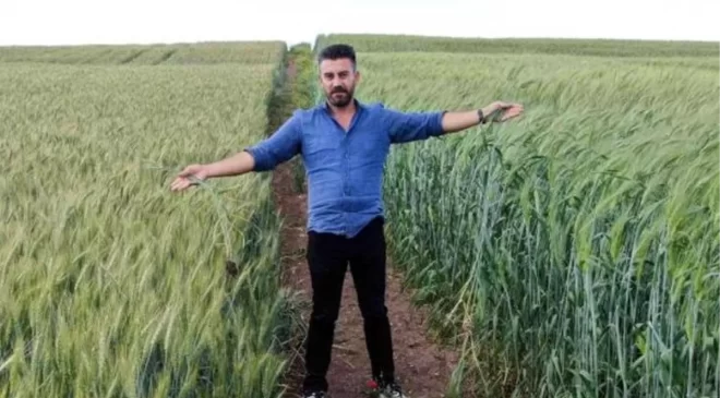 7 bin yıllık Siyez buğdayı tohumu bulunduğu iddiası yalan çıktı