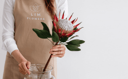 Çiçek odaklı yeni nesil abonelik servisi LIM Flowers, ilk yatırımını aldı