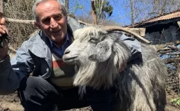 Emekli Veysel Atacan, Pandemi Sürecinde Baba Ocağına Dönüp Küçükbaş Hayvancılık Yapıyor