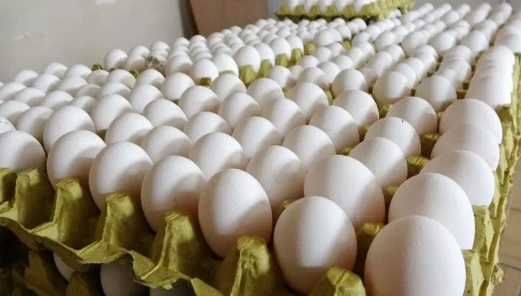 Son Dakika! Rekabet Kurumu, yumurta sektörüne yönelik 2 ayrı soruşturma başlattı