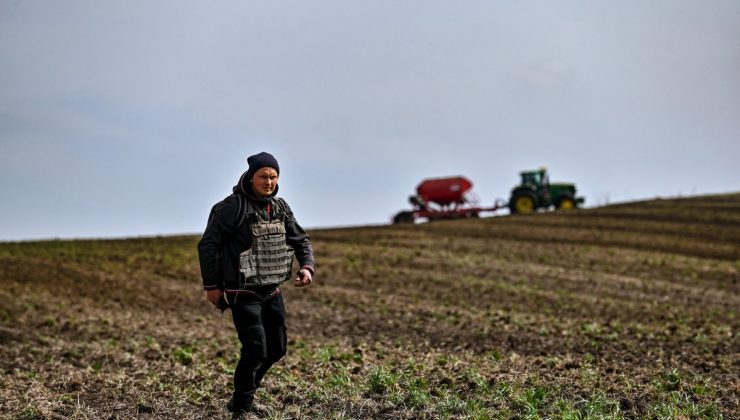 Ukrayna Tarımında Son Durum